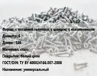 Шуруп с потайной головкой, с шлицем, с наконечником 6х120 сталь белый цинк ГОСТ: ТУ BY 400024166.007-2008 универсальный